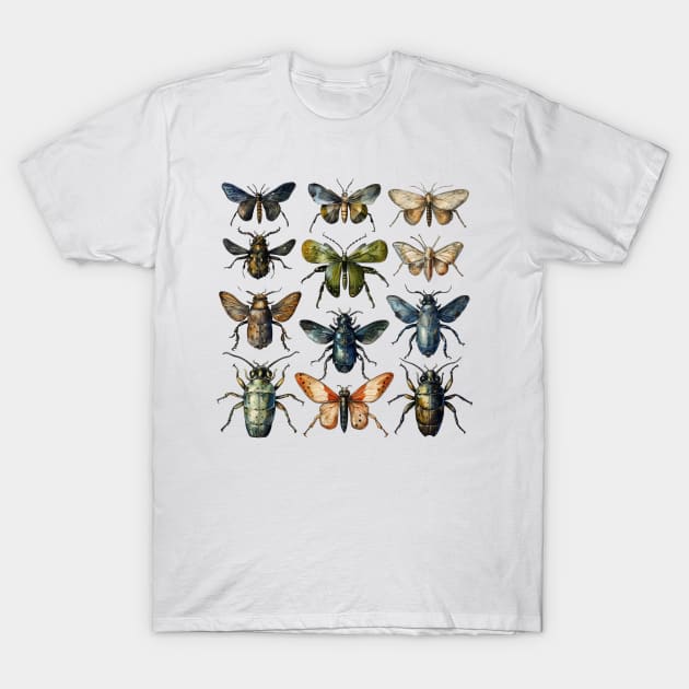 Vintage Insect Entomology T-Shirt by Young Inexperienced 